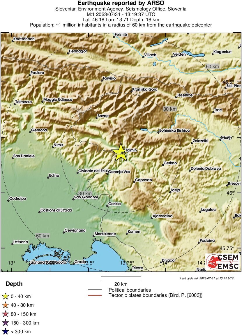 Local View