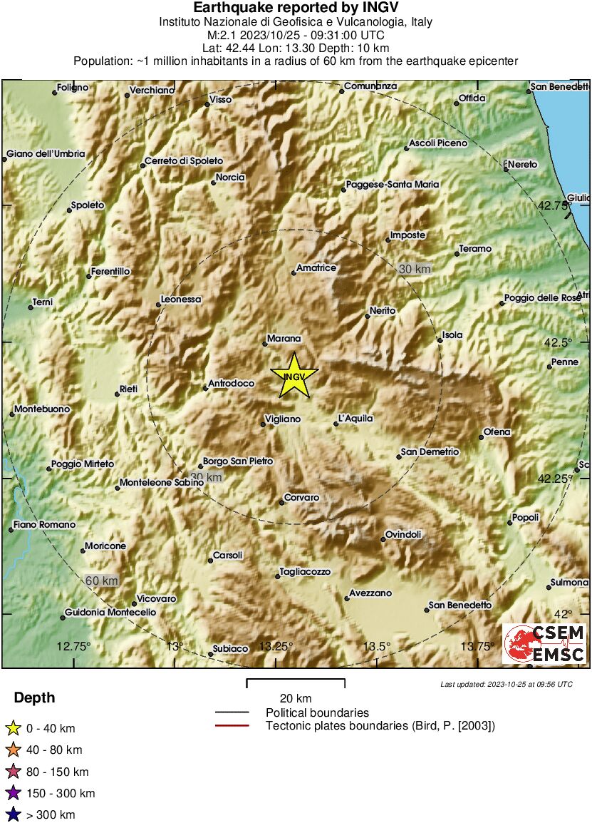 Local View