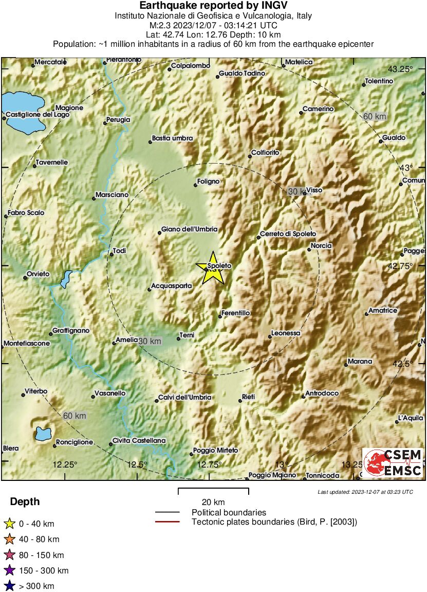 Local View