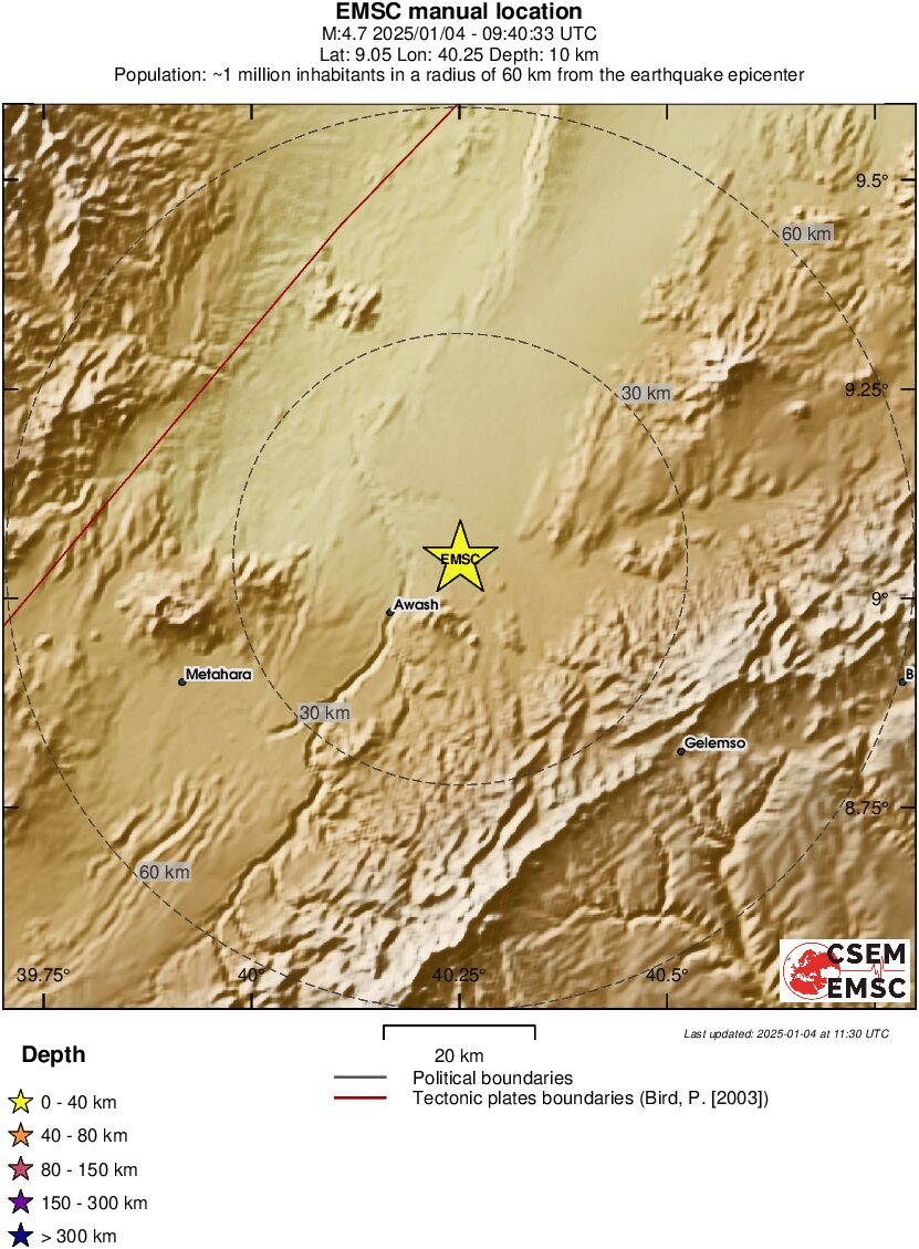Local View