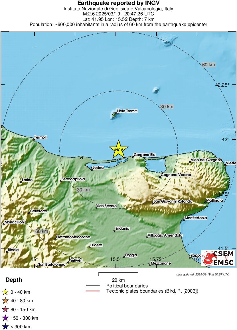 Local View