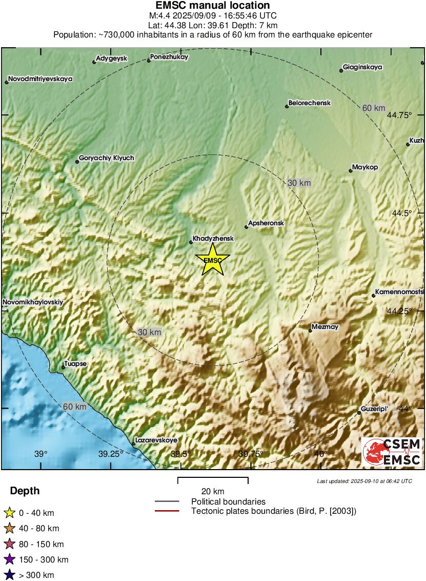 Local View