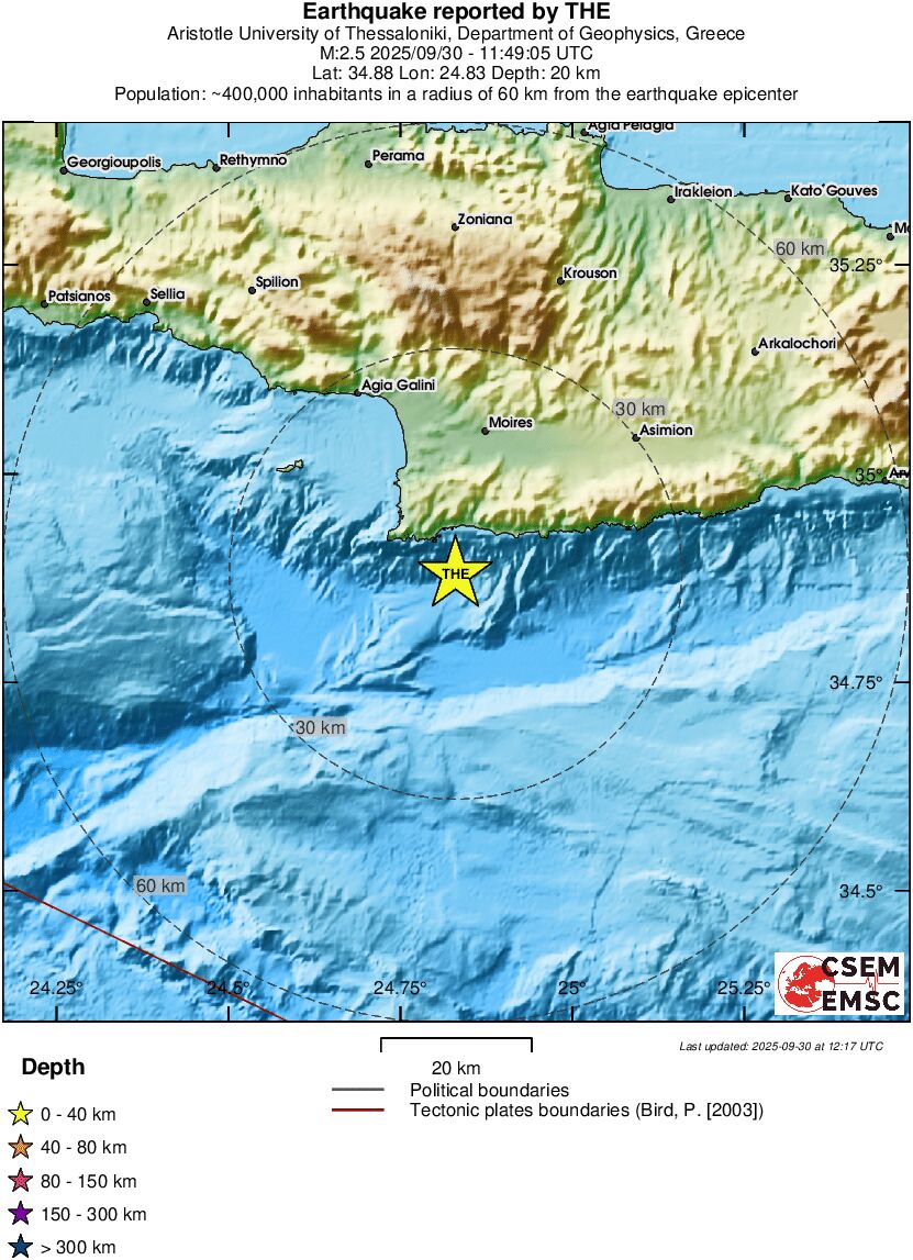 Local View