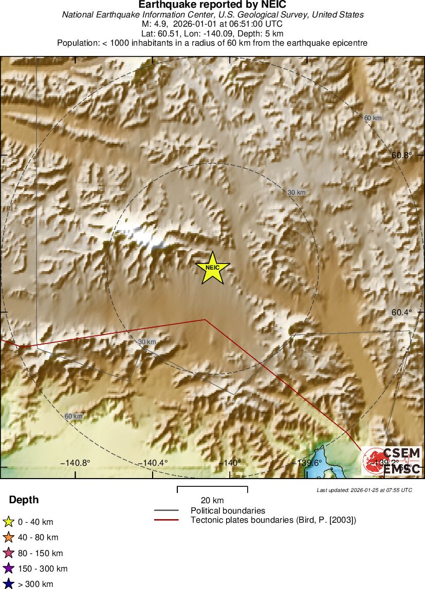 Local View