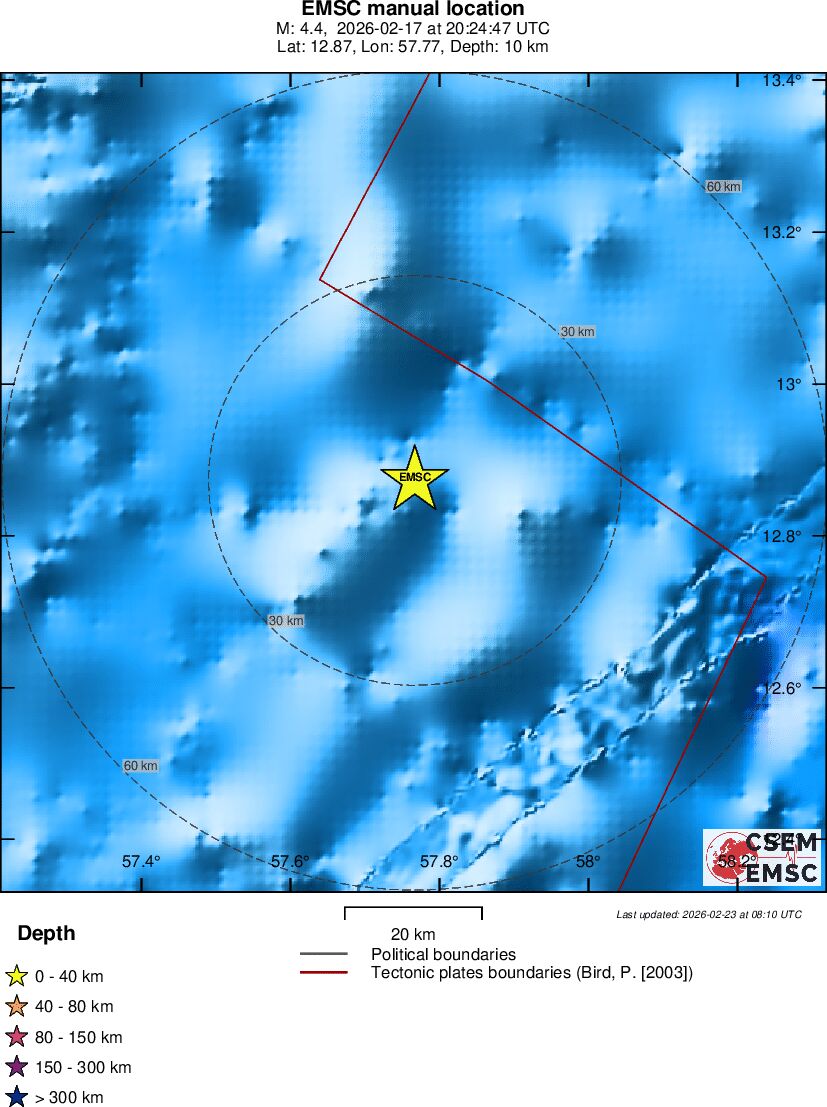 Local View