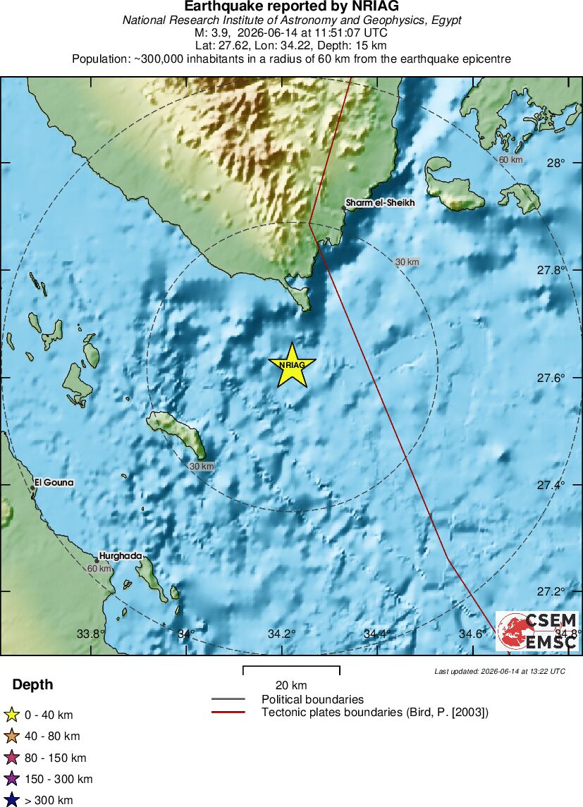 Local View