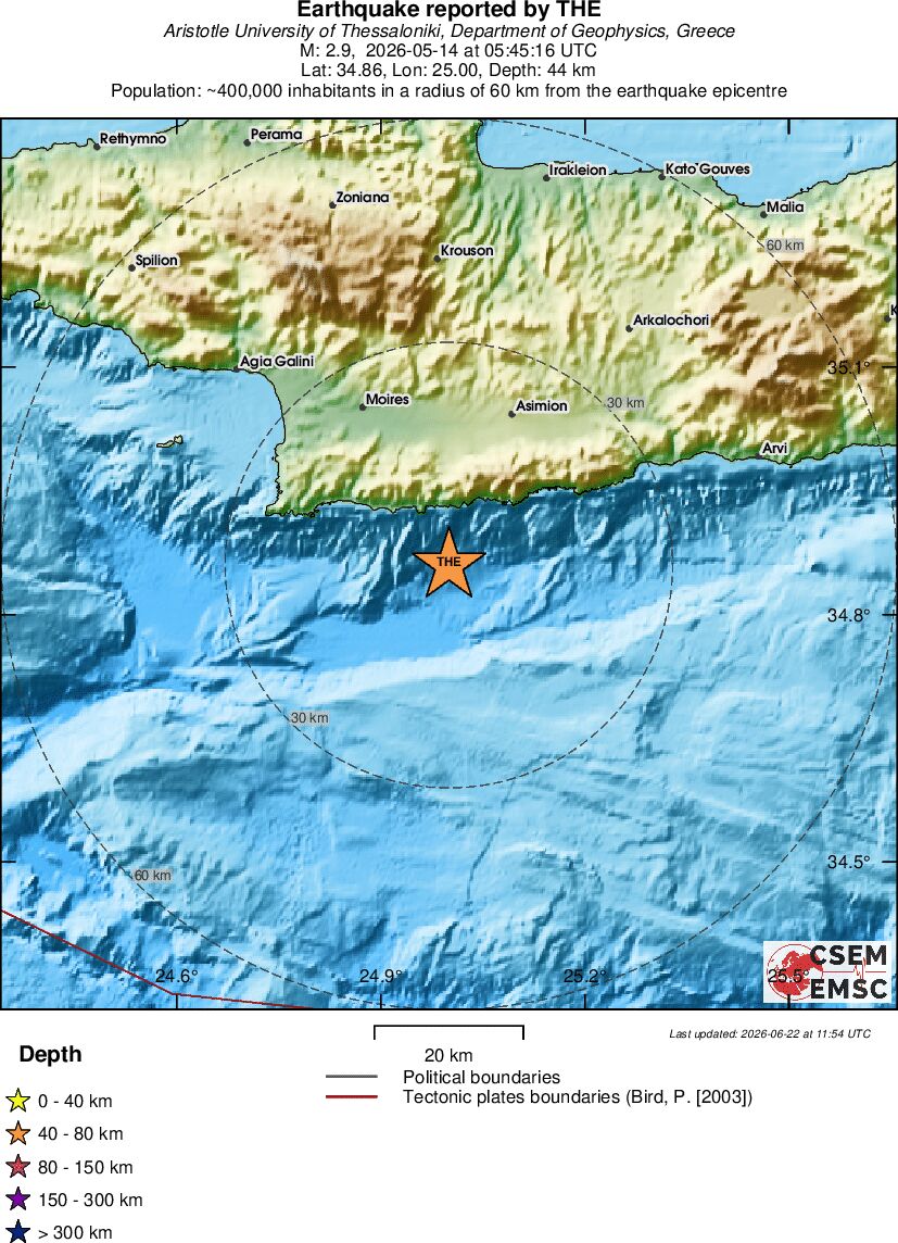 Local View