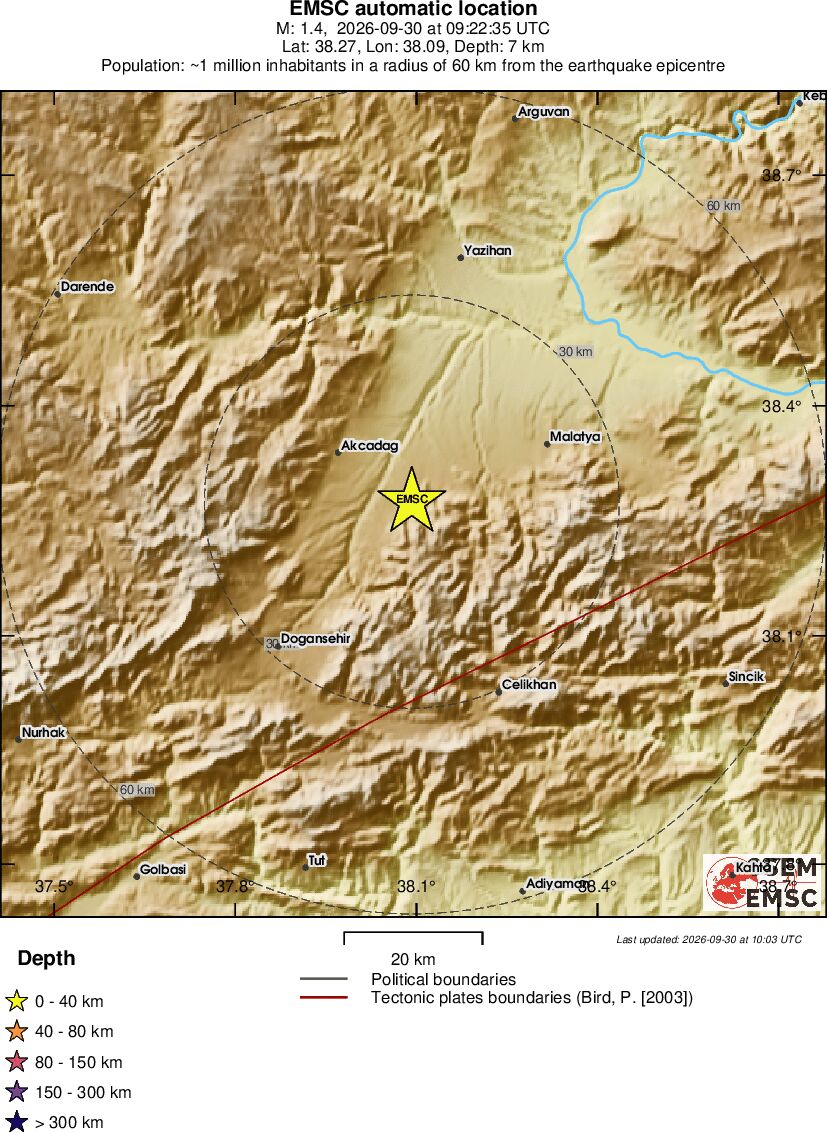 Local View