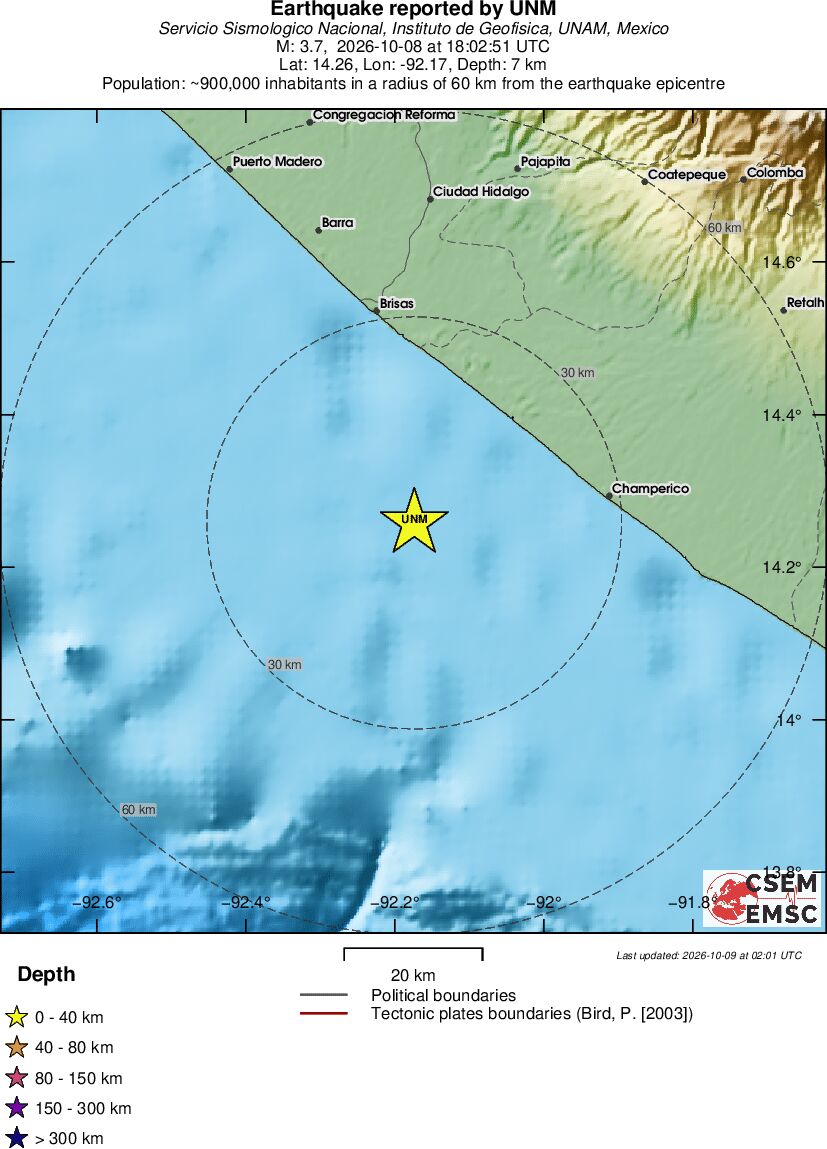 Local View