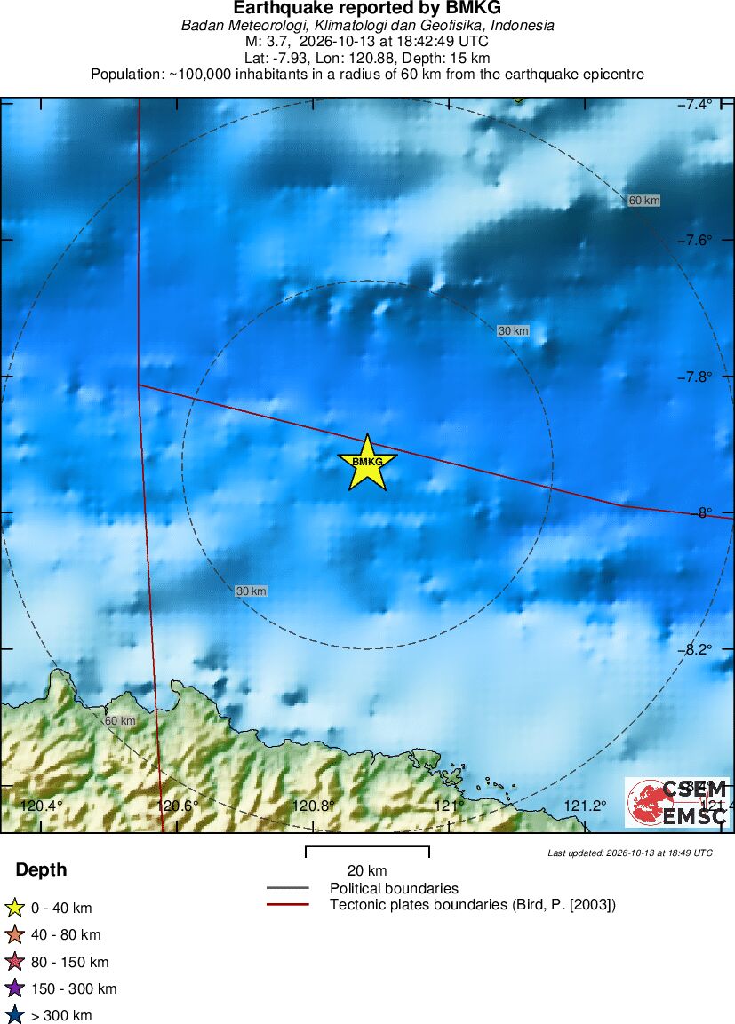 Local View
