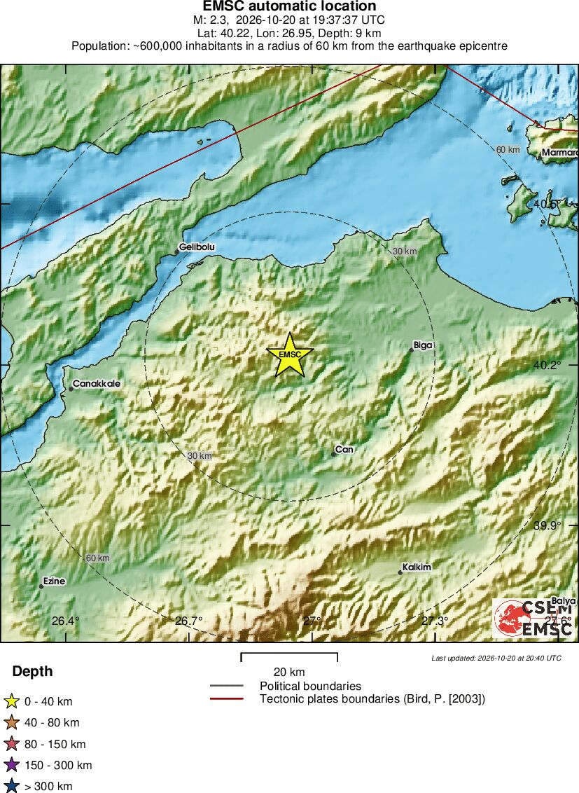 Local View