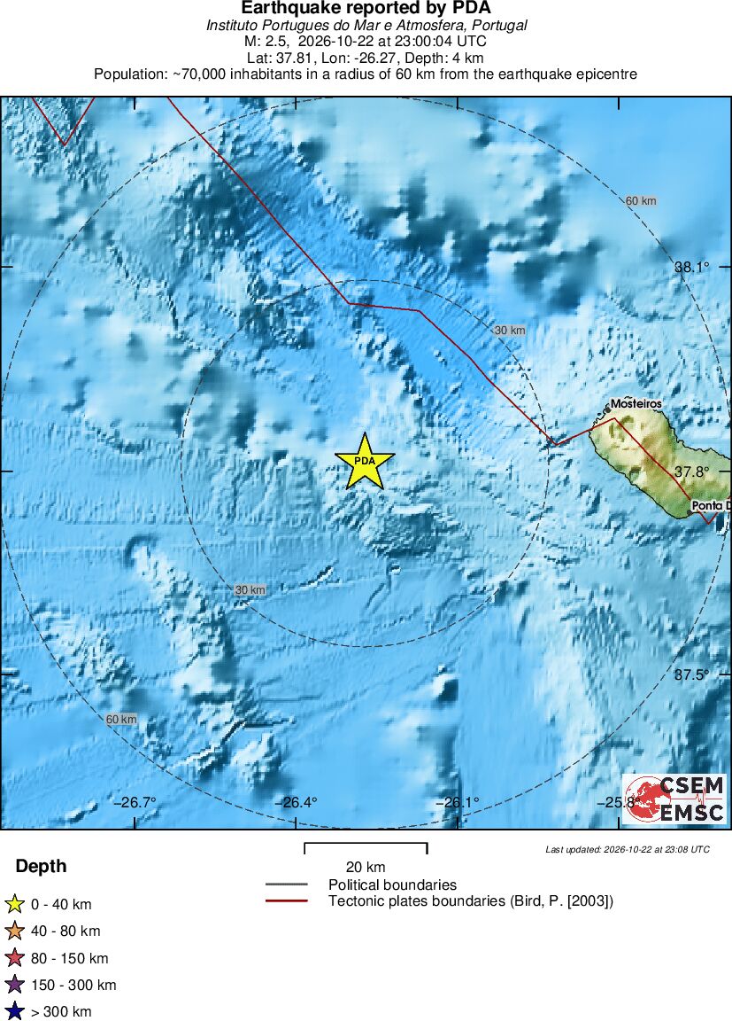 Local View