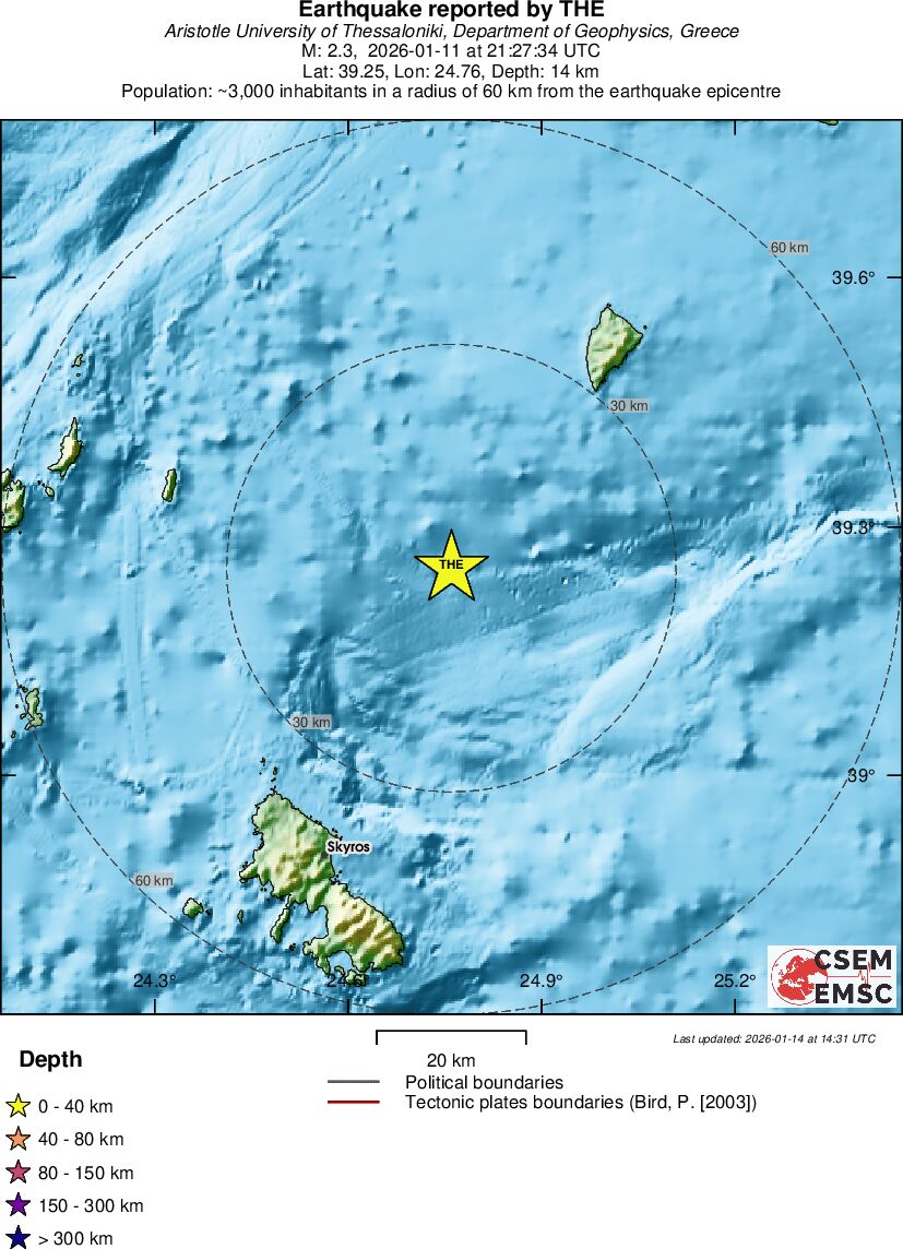 Local View