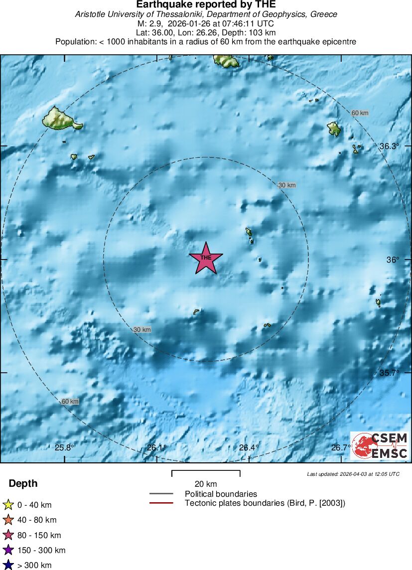 Local View