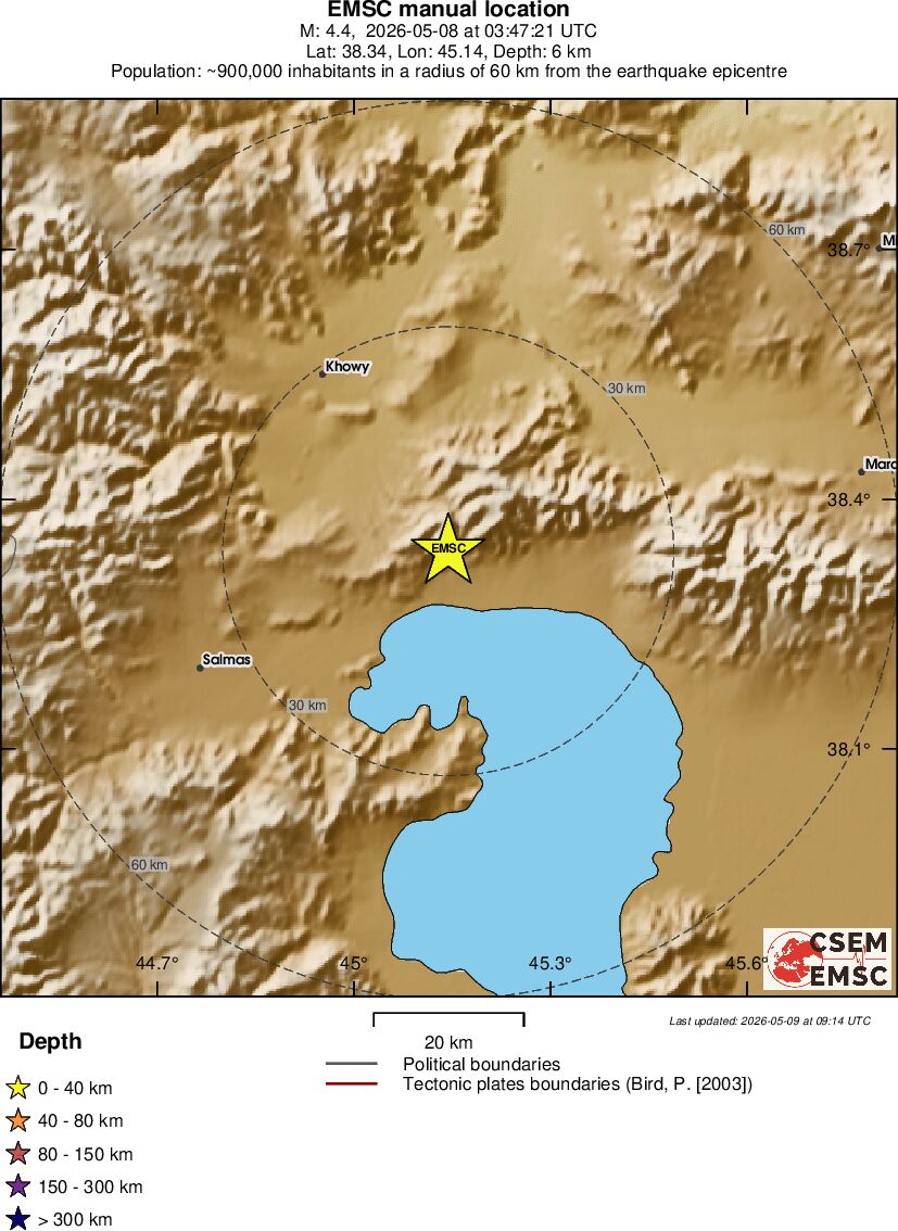 Local View