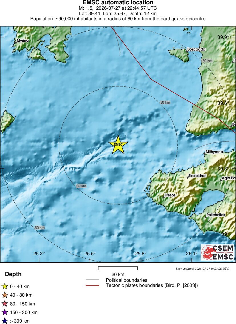 Local View