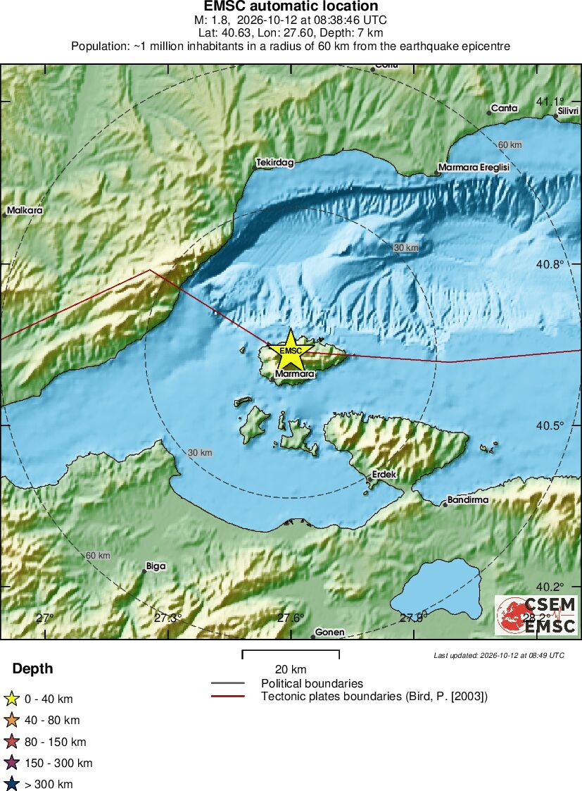 Local View