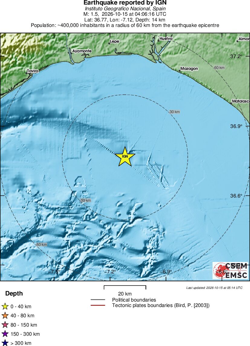 Local View