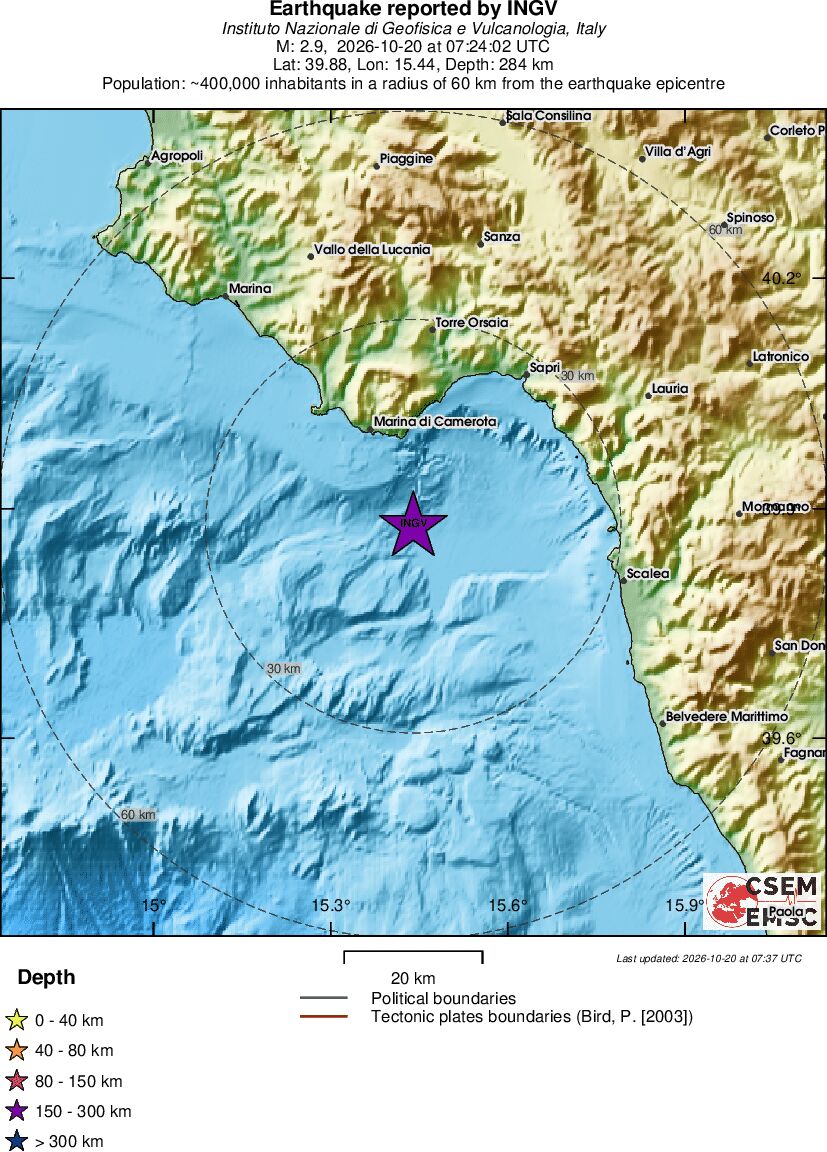 Local View