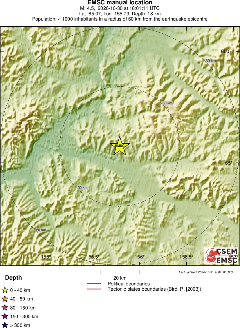Local View